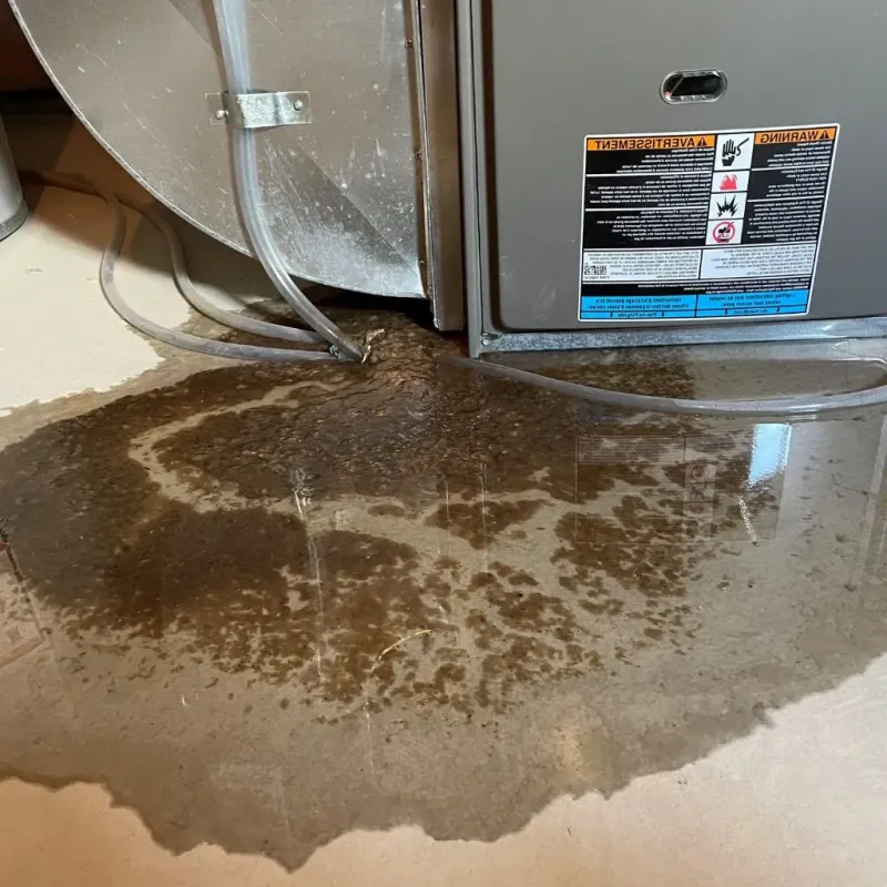 Pipe Burst and Leak Restoration in Moorefield, WV