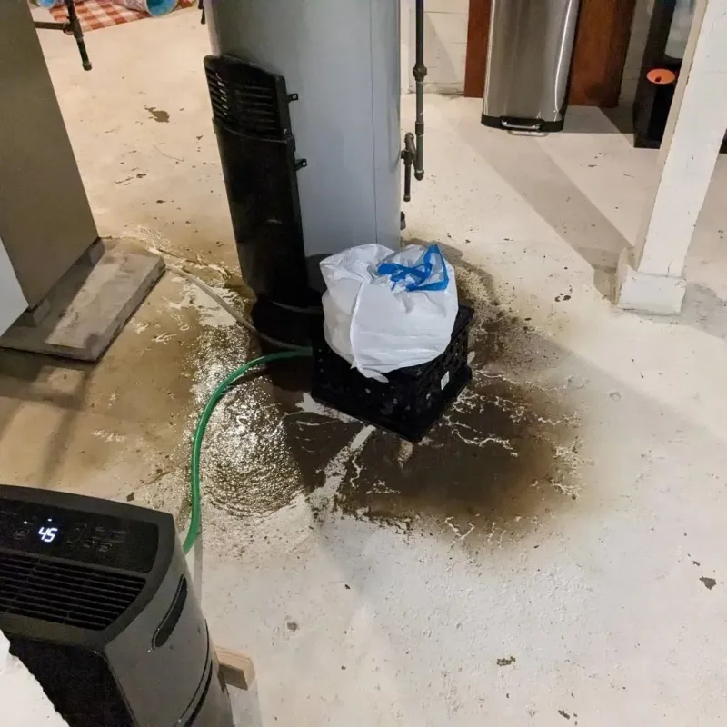 Sewage Backup Cleanup Service in Moorefield, WV